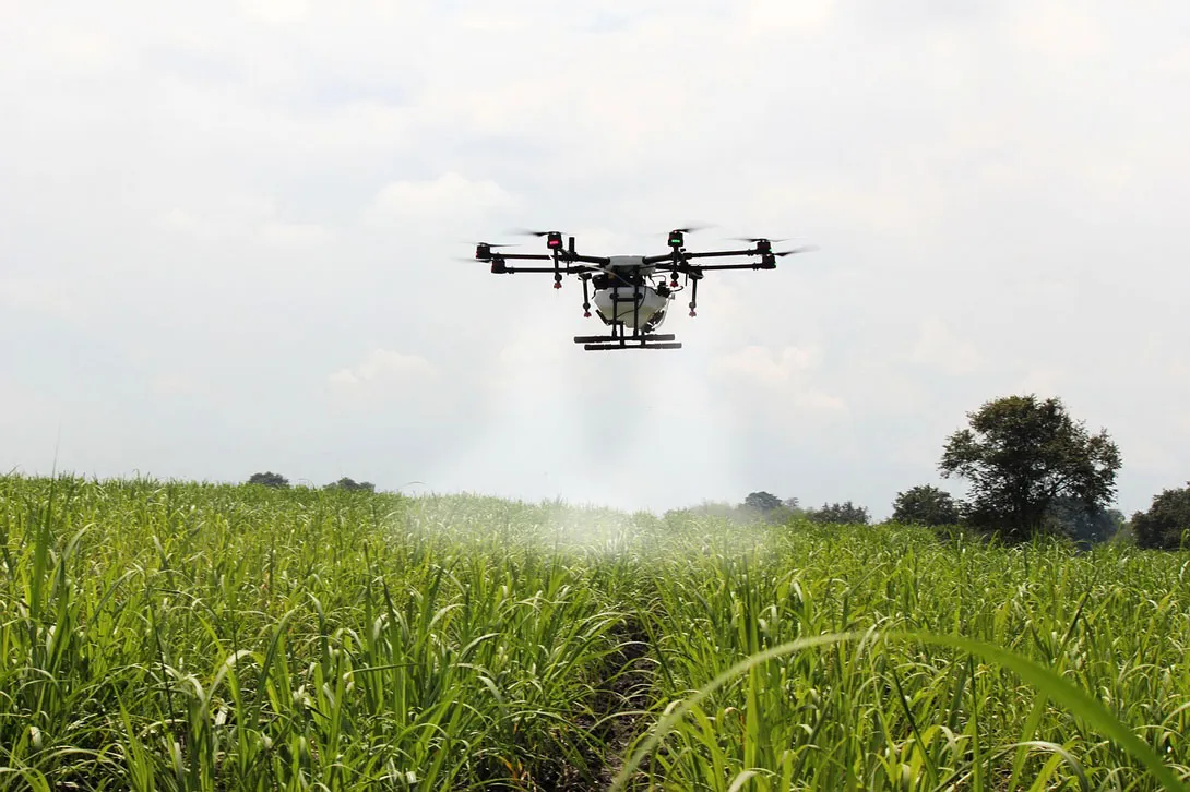 A drone spreading pest control chemicals on a rice farm